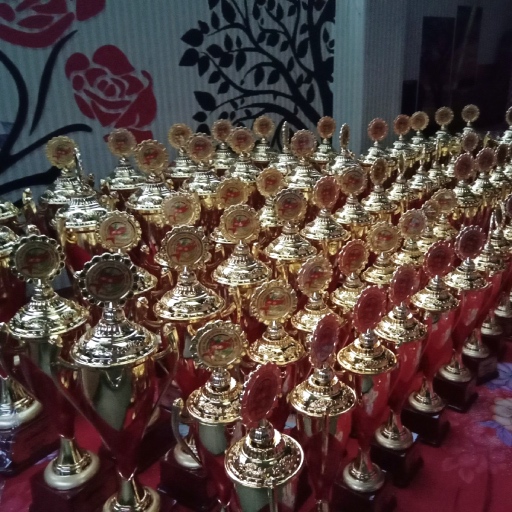 Medals Trophies Certificates